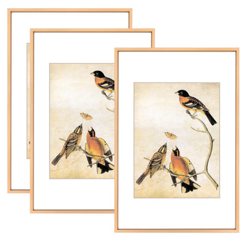 8x12 Gold Aluminum Photo frames 3 Pack HD Glass Mat 6x8 Wall Only