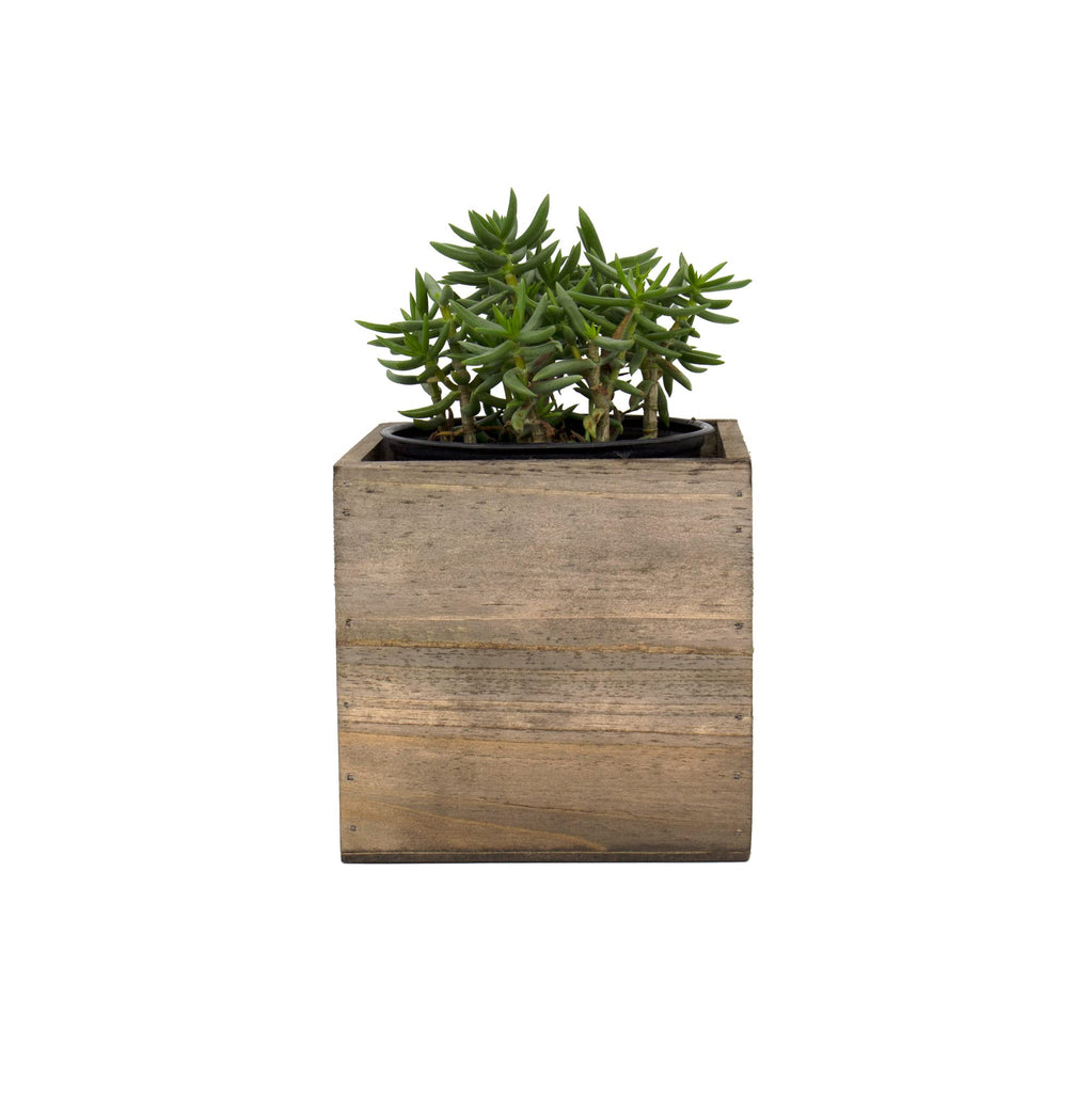 Cube Planter Box with Removable Plastic Liner (5"x5"x5")(4 PCS) | Multiple Size Choices Wood Square Planter | Indoor