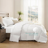 Queen Duvet Insert Comforter,100% Cotton Shell