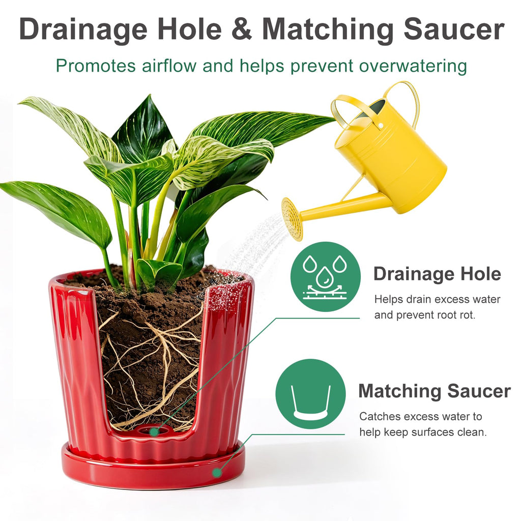 6 Inch Flower Pots for Plants, Ceramic Planter with Drainage and Saucer