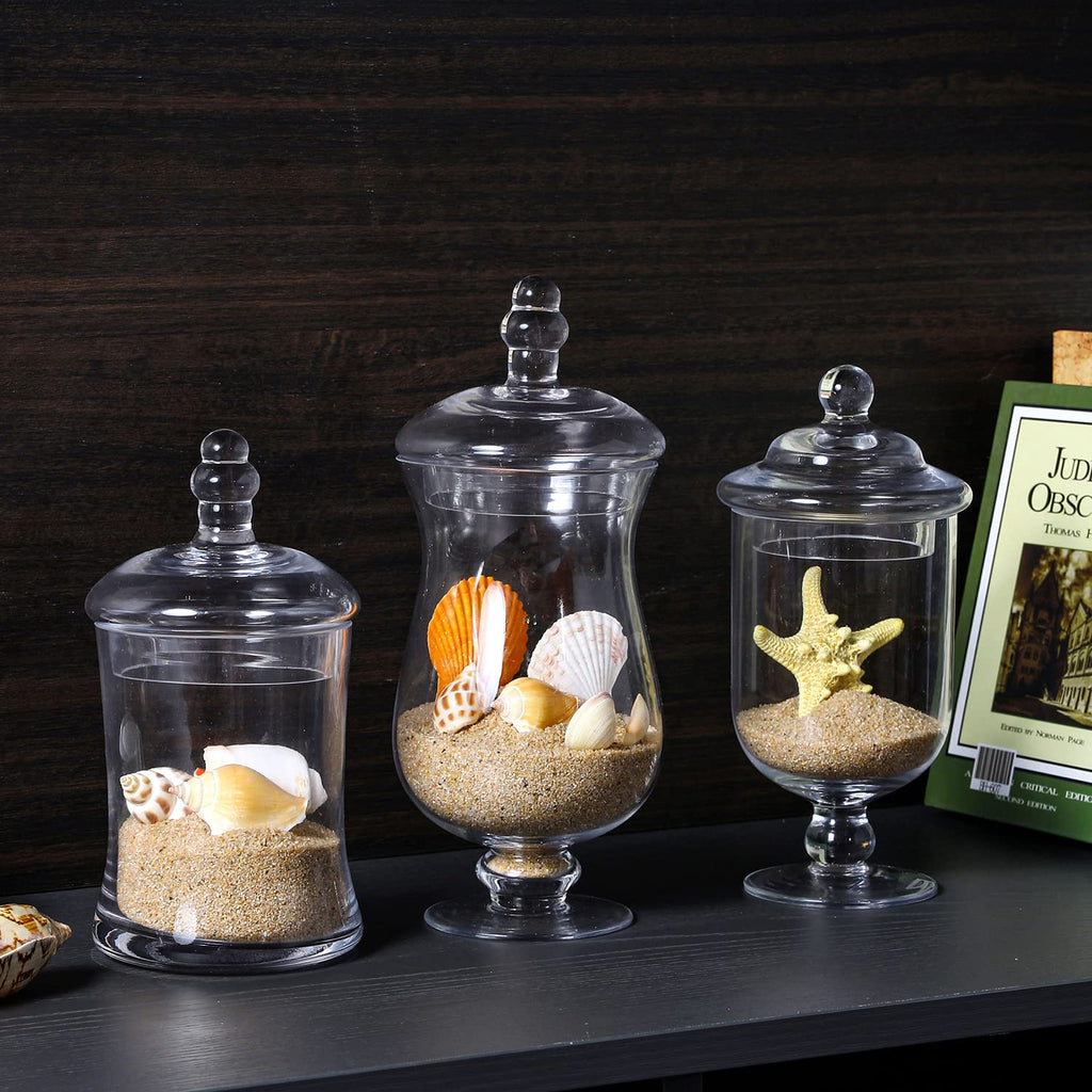 Clear Glass Apothecary Jars With Lid Footed Vase Set of 3