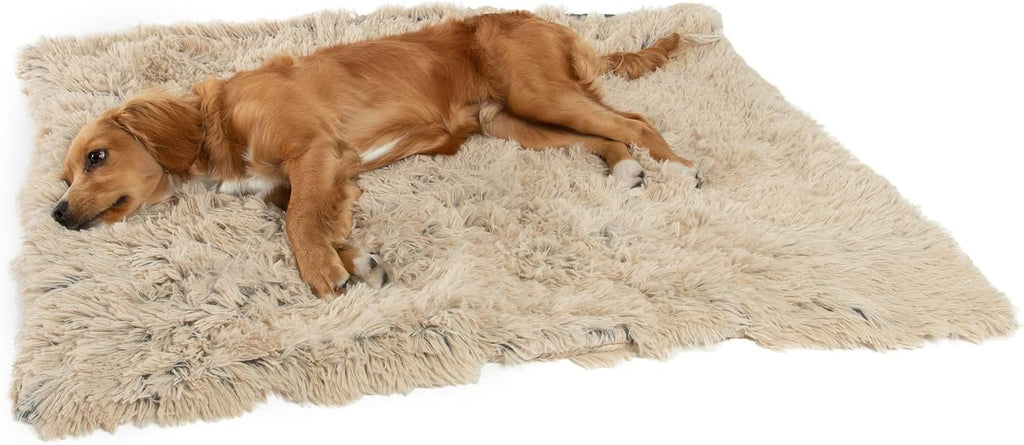 The Original Calming Donut Cat and Dog Bed in Shag Fur Taupe, Small 23" and Blanket, Taupe, 30"x40"