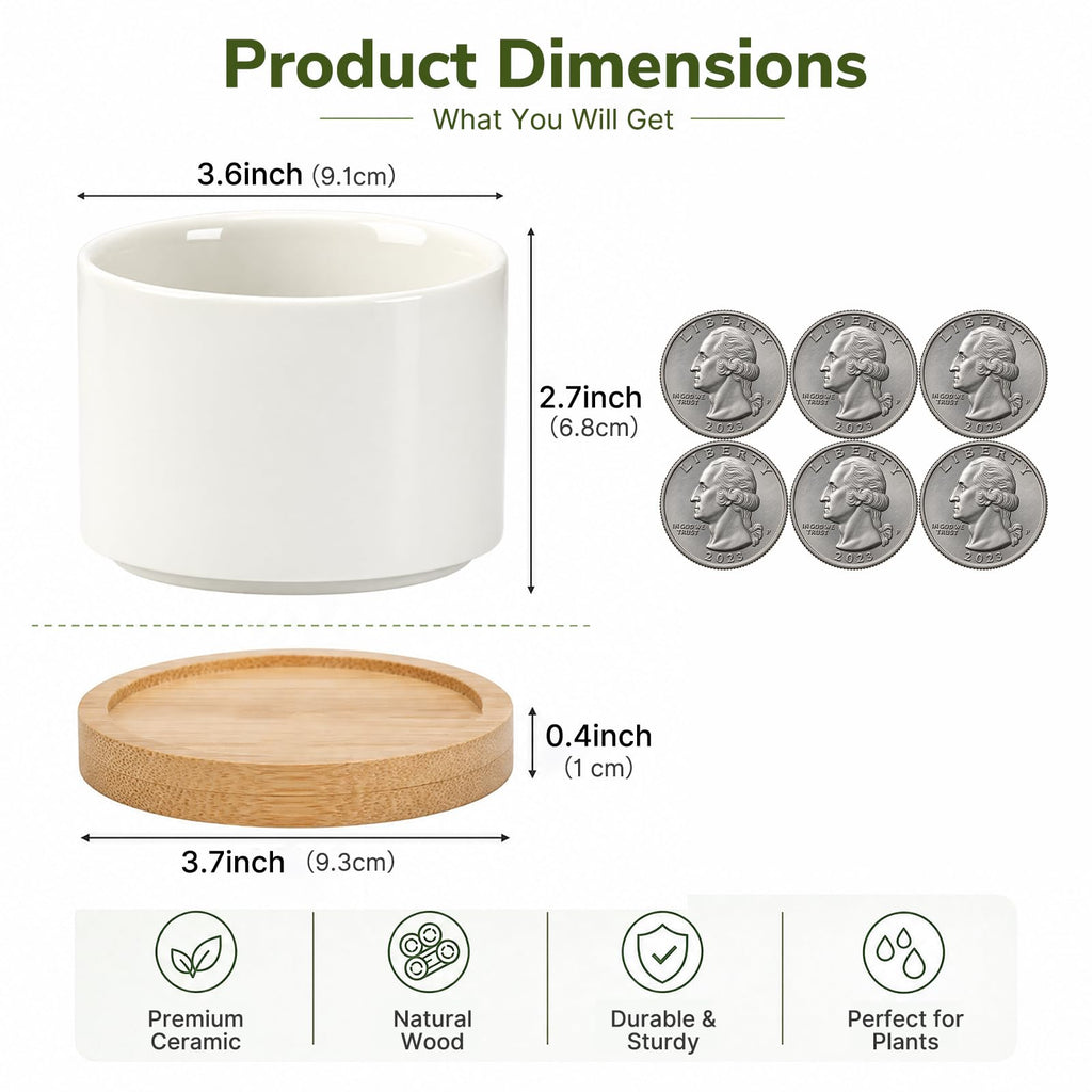 12 Pack 3.6" Ceramic Succulent Pots, White Planter with Drainage Tray