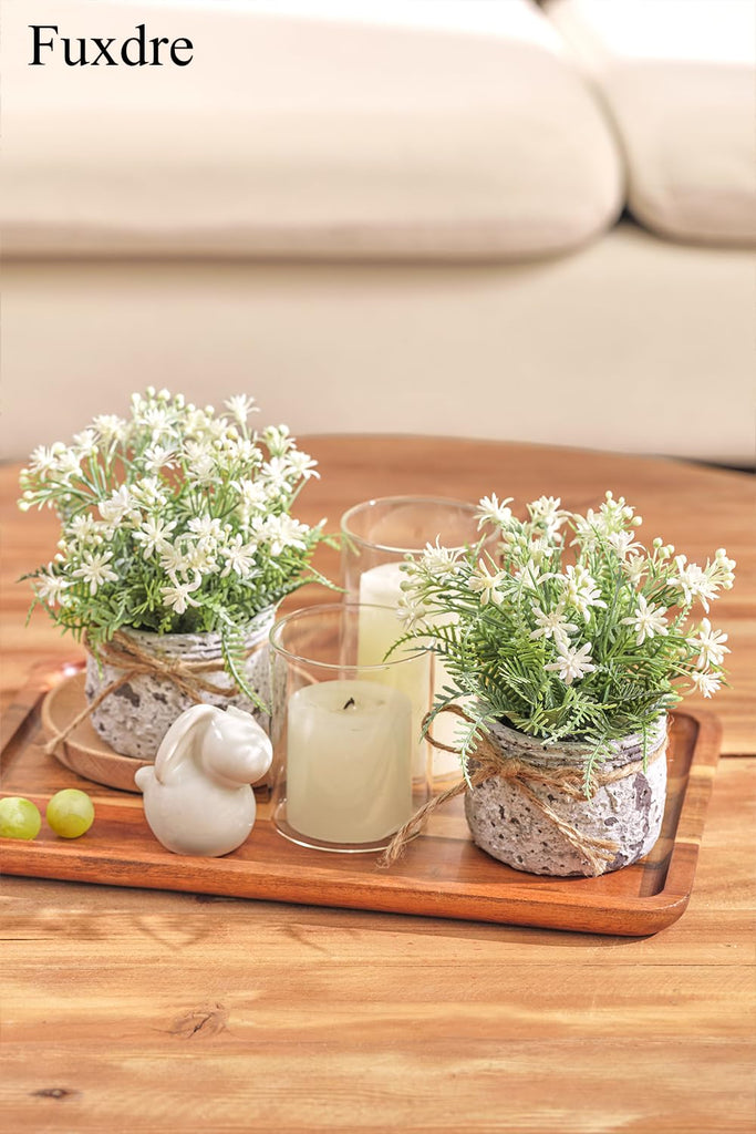 White Small Artificial Plants with 2pcs, Fake Plants Decor