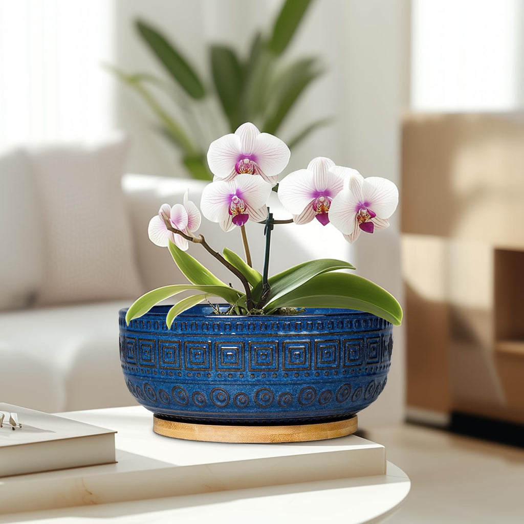 Bonsai Pots 8 Inch - Ceramic Succulent Pots, Round Planter for Indoor Plants, Modern Outdoor Planter with Drainage