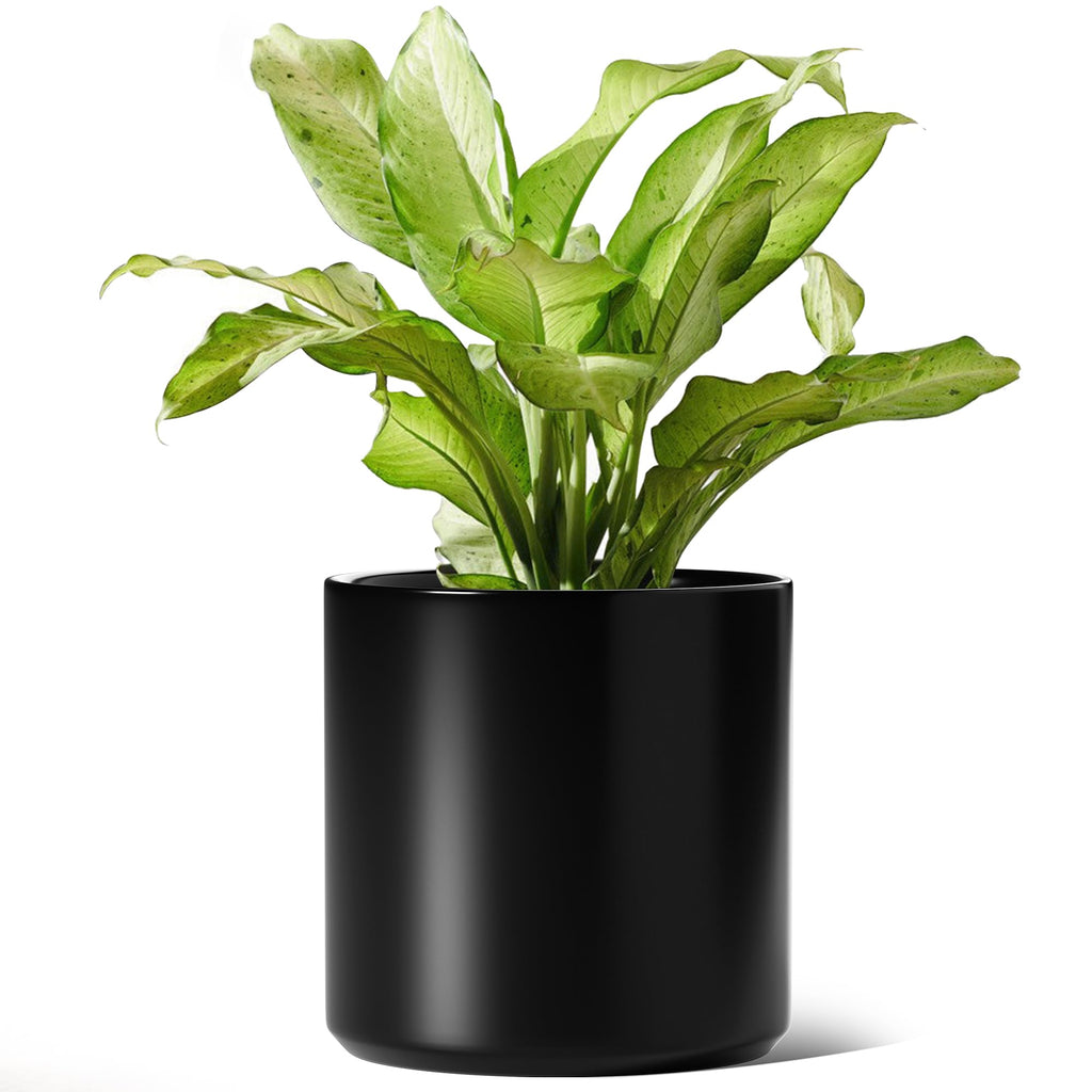12 Inch Pot for Plants, Ceramic Indoor Planter, Black
