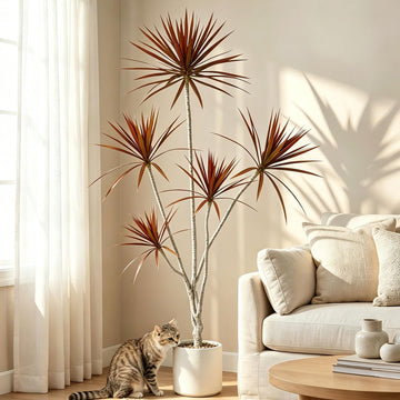 6ft Artificial Dracaena Marginata Fall Tree with Decorative Planter