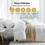 Organic Feathers Down Comforter Full, All Season Duvet Insert with 100% Organic Cotton Cover