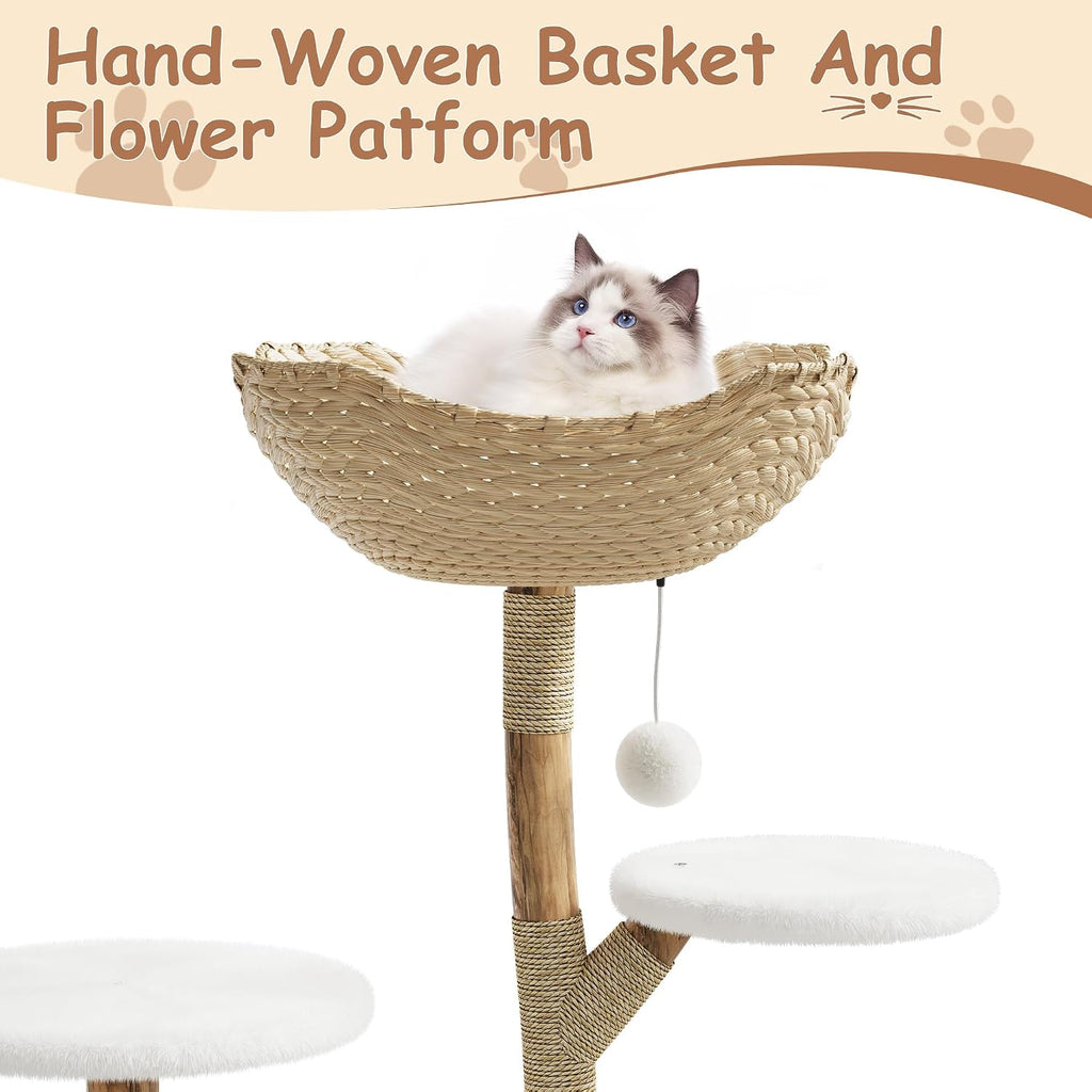 Real Solid Wood Modern Cat Tree Tower with 2 Platforms, Aesthetic Cat Tree for Indoor Cats, Kittens Condo