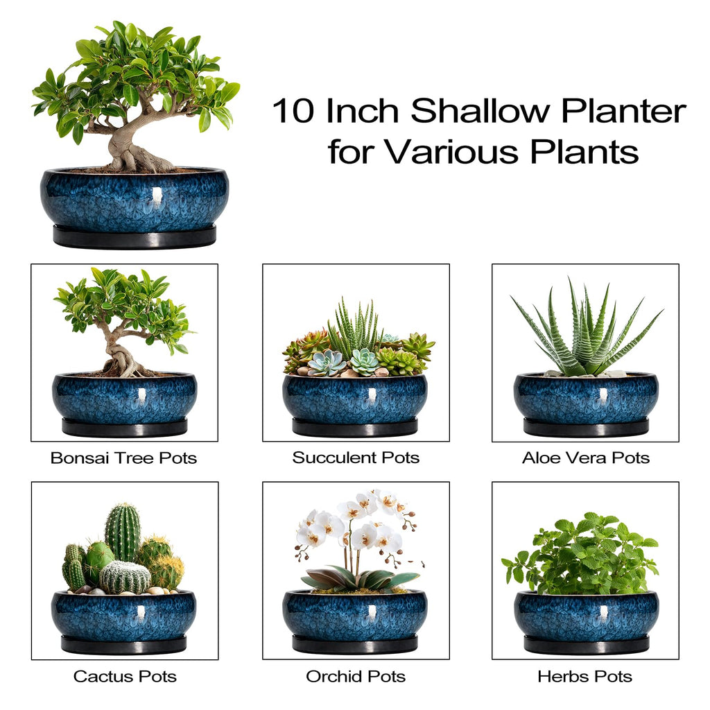Bonsai Tree Pots 10 Inch - Ceramic Succulent Pot with Drainage Hole and Saucer, Bonsai Pots for Indoor Outdoor, Round