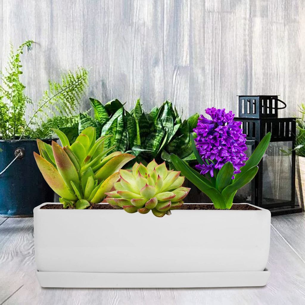 14 Inch Rectangular Modern Minimalist Ceramic Succulent Planter Pot - Window Box with Saucer, Office Desktop Potted
