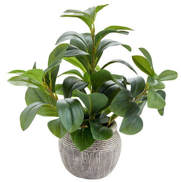12.8" Artificial Ficus Plant in Cement Pot Home Desk Decor