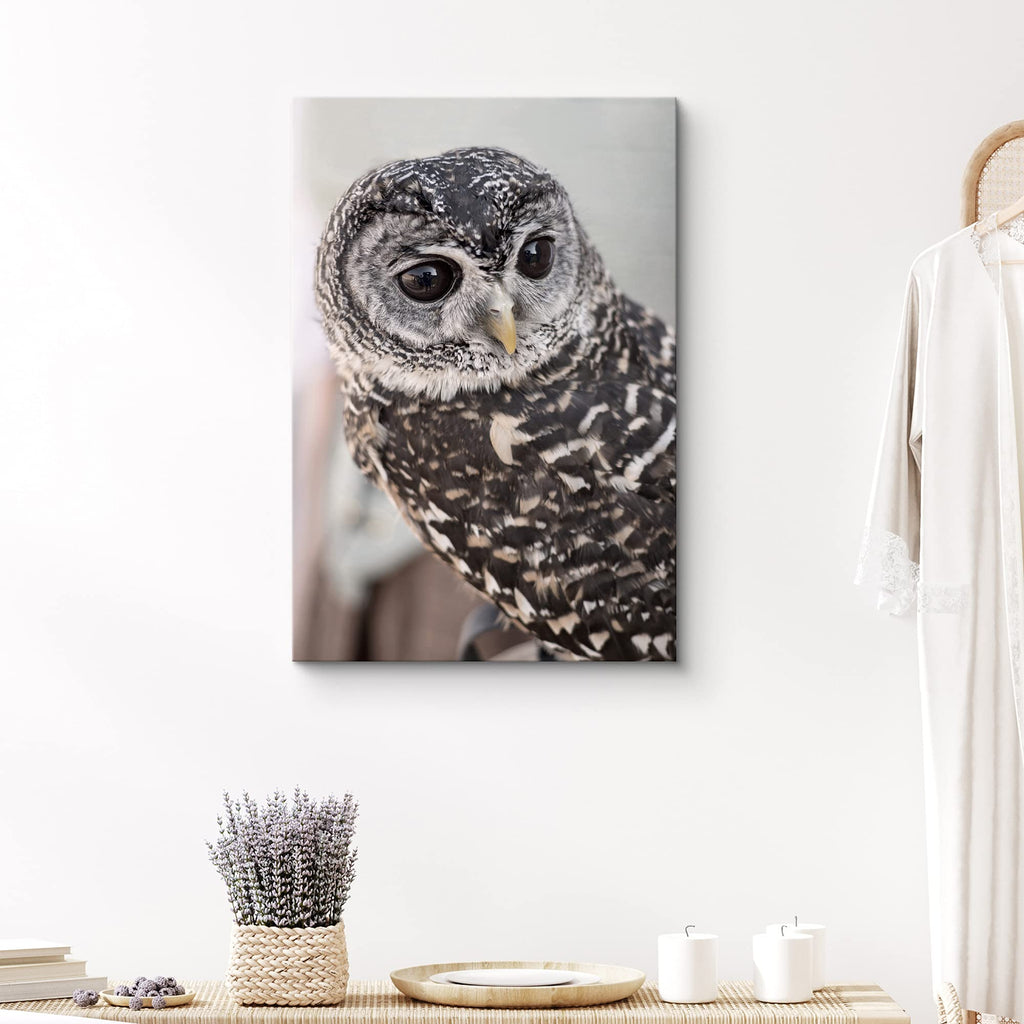 Canvas Print Wall Art Gray Owl with Bokeh Camera Effect Animals Wildlife Photography Realism Rustic Portrait