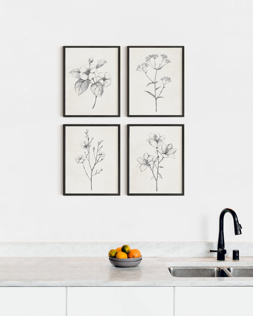 Grey Floral Wall Art - Set of 4 Plant Posters for Wall Vintage, Botanical Prints, Black and White Flower Pictures for