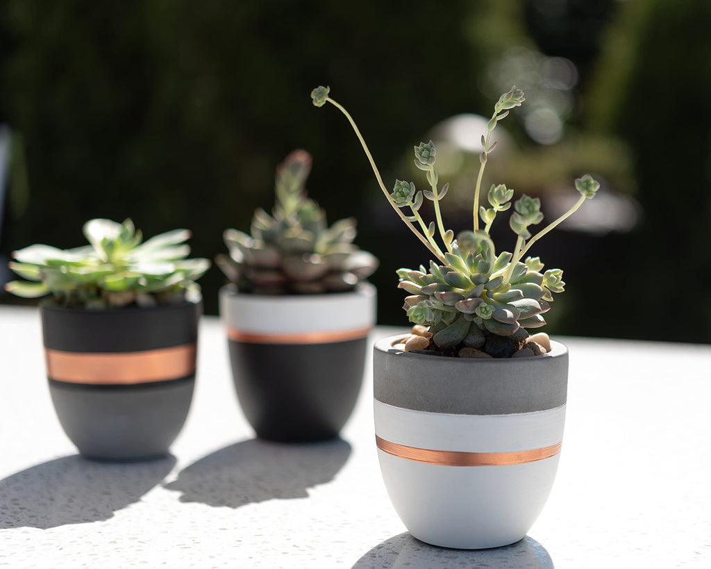 Hand Painted Indoor Plant Pots, Set of 3 Modern Cement Succulent Pots with Drainage, Best Planters for Cactus, Herbs