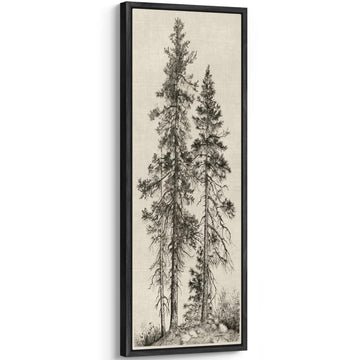 Large Framed Canvas Hand-Drawn Pine Trees Monochrome Illustrations Modern Art Calm Warm - 60"x20"