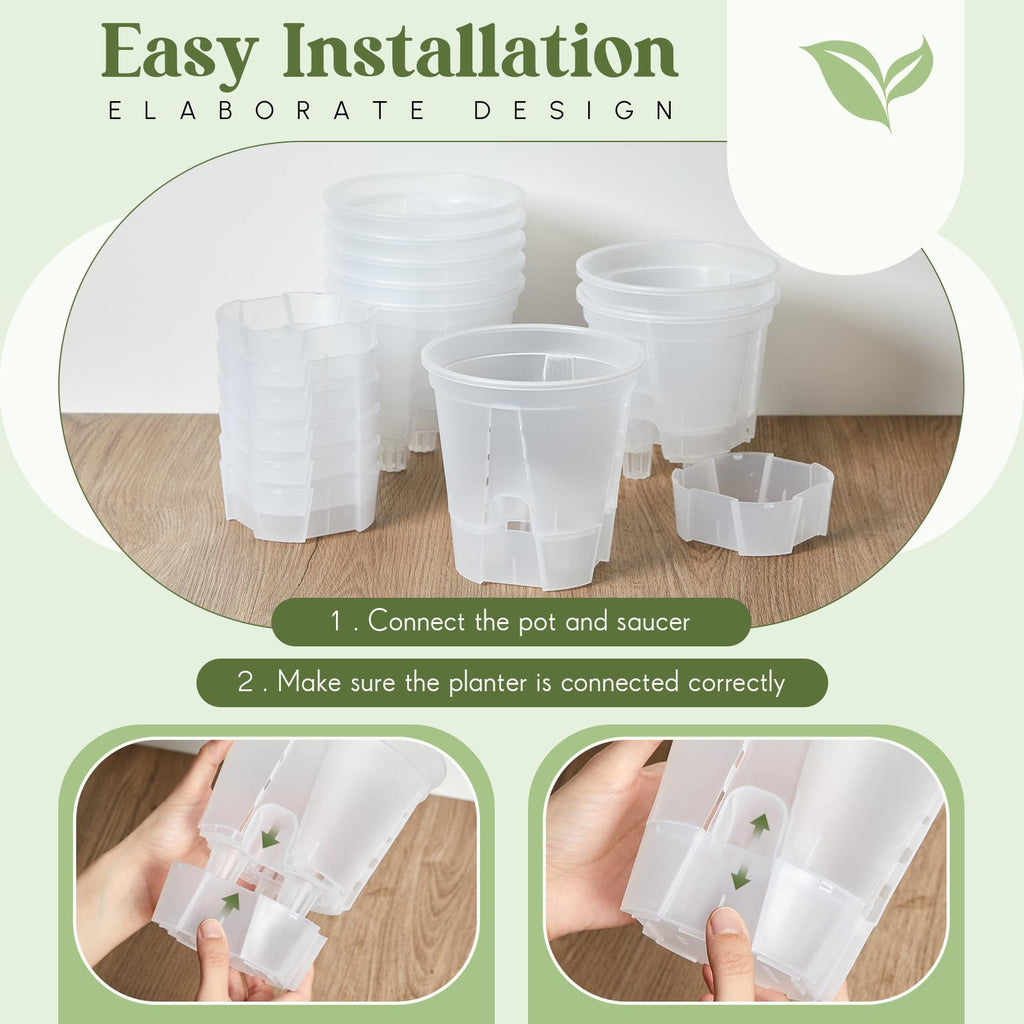Self Watering Planter, 5.91'', Clear, 6 Pcs