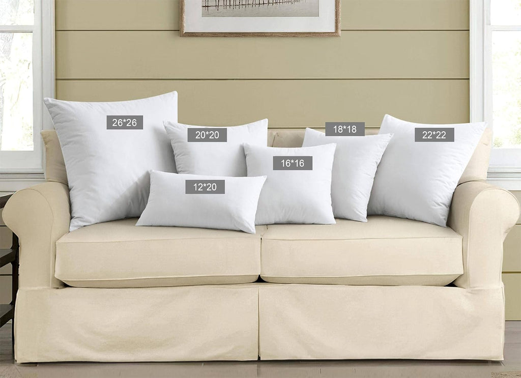 Feather Throw Pillow Inserts 22 x 22 (, White), Big Throw Pillows for Floor, Couch, Bed, Machine Washable - Set of 2