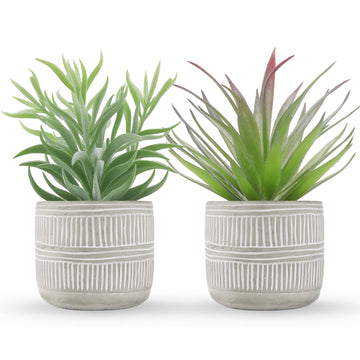 2 Pack 8.5" Fake Succulents Plants in Ceramic Pots for Boho Decor