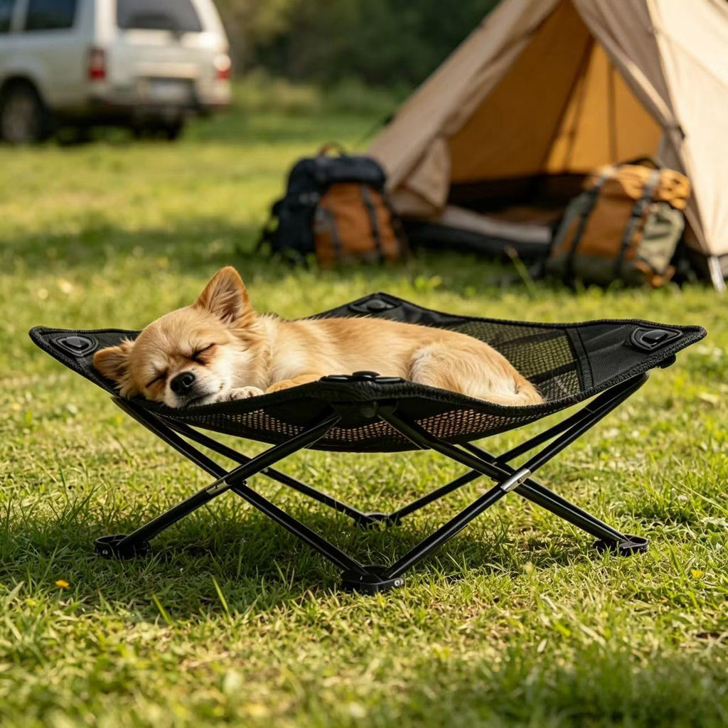 Foldable Cooling Elevated Cat Bed for Small Dogs Puppies & Kitties, 19x19 Inch, Breathable Mesh Raised Pet Cot