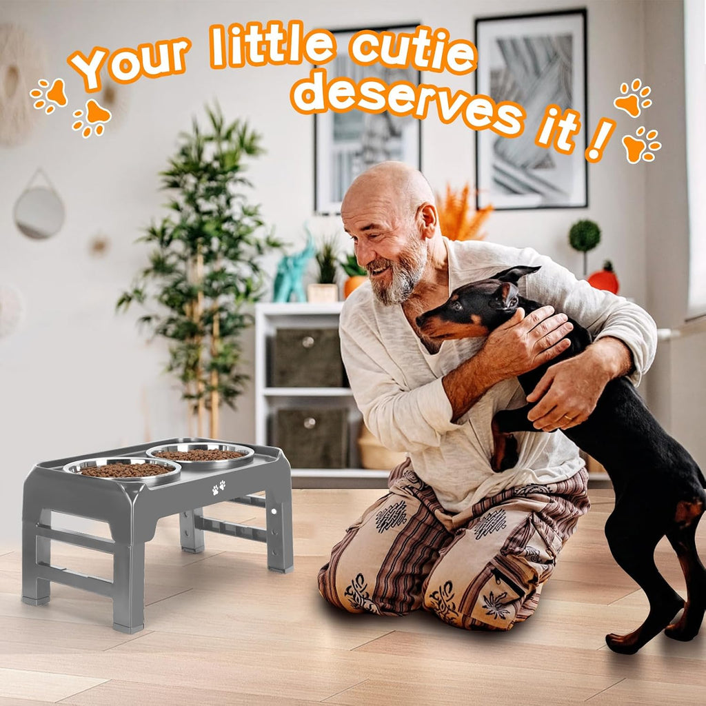 Elevated Bowls, 4 Height Adjustable Raised Stand With 2 Thick 50oz Stainless Steel Food Bowls, Non-Slip Feeder