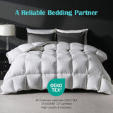 Goose Feather Down Fiber Comforter Queen, 100% Cotton Ultra Soft Fluffy Duvet Insert Queen
