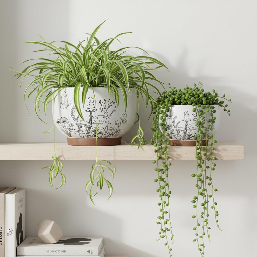 Terracotta Pots, 8+6 Inch Plant Pots, 2 Pcs with Drainage Holes