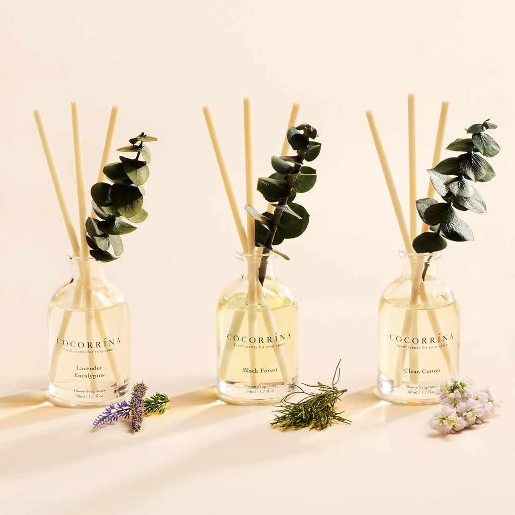Reed Diffuser with Dried Eucalyptus - Set of 3