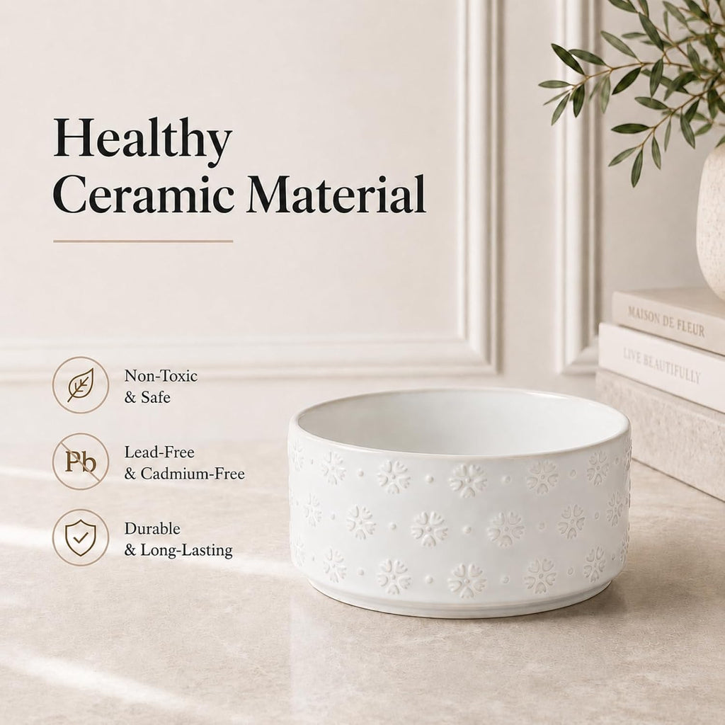 Elevated Dog Bowls, Raised Ceramic Dog Bowl for Small & Medium Dogs