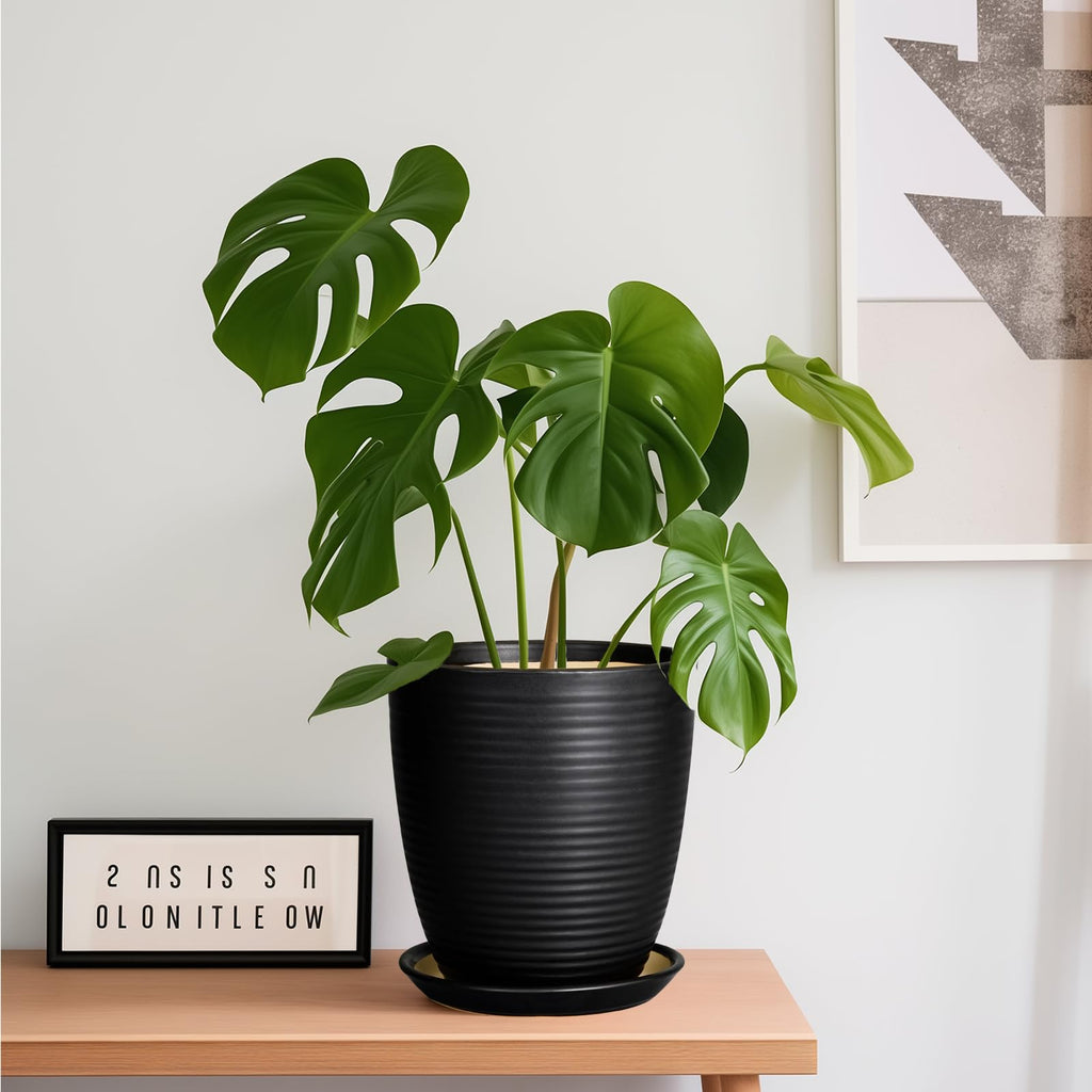 Ceramic Plant Pot - 8 Inch Ceramic Planter for Indoor Plants Glazed Round Flower Pot with Drainage Hole and Saucer