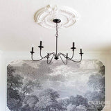 18 1/8"OD x 3 1/2"ID x 2 3/4"P Edinburgh Ceiling Medallion, Fits Canopies up to 5-1/8", 2 Piece