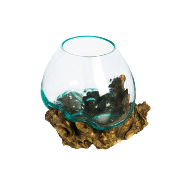 10" Hand-Blown Blue Tinted Bubble Glass On Natural Teak Driftwood Terrarium Kit | Home Décor Indoor Planter with