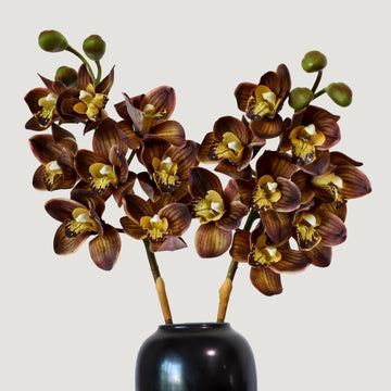 Real Touch Artificial Cymbidium Orchid, 31.5" Faux Orchid Stems with Large Blooms, 2 Pcs Premium Latex Fake Floral
