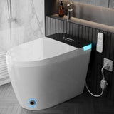 TDH Luxury Smart Toilet, Heated Seat with Warm Water Sprayer & Dryer