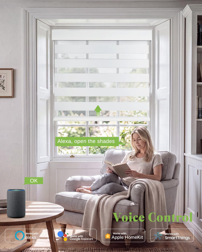 Motorized Zebra Blinds with Remote, Smart Rechargeable Window Shades