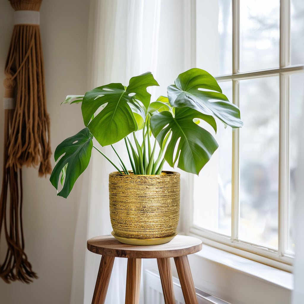 Ceramic Plant Pot 7 Inch, Ceramic Planter for Indoor Plants, Gold
