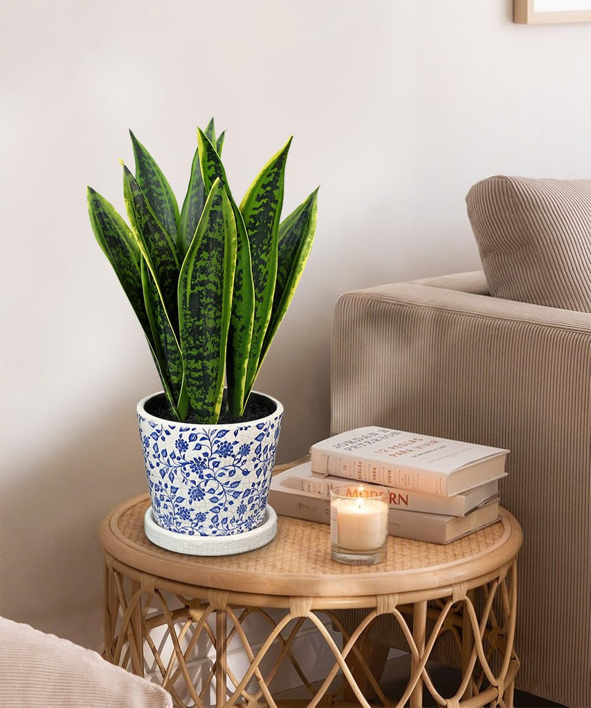 Fake Plants 15.7" Artificial Snake Plant Faux Plants in Blue and White Pot Tropical Sansevieria Silk Plant Fake