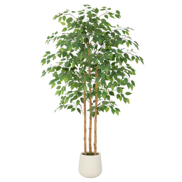 Multi-Real Wood Trunks Ficus Tree Artificial with White Planter, 5ft(60in) Realistic Texture Potted Faux Ficus Tree
