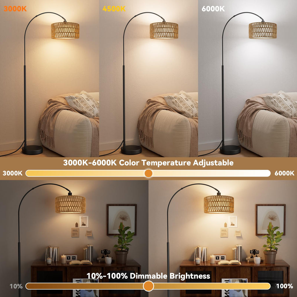 Rustic Arc Floor Lamp, Color Temp and Brightness Adjustable, Black