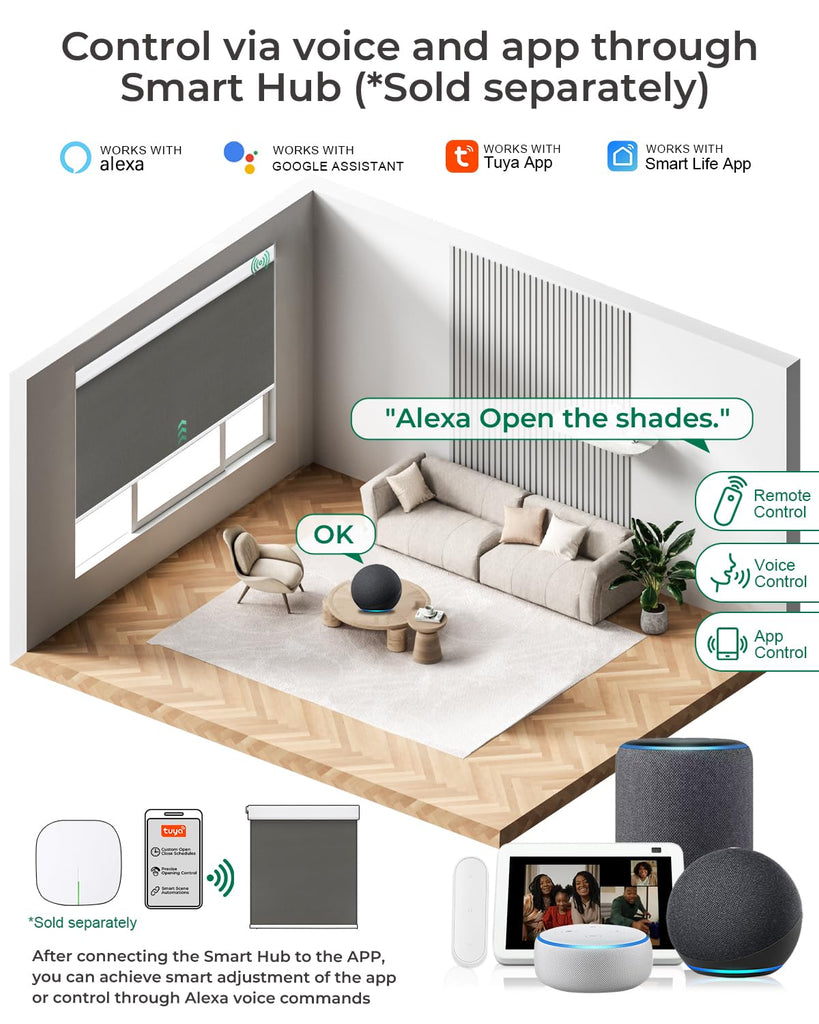 Motorized Blinds with Remote (Smoky Gray, )