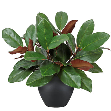 6Pcs Artificial Magnolia Leaves Branches 18inch Faux Pick Stems
