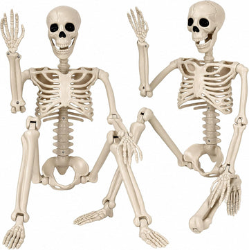 Halloween Decorations outdoor, 2Pack 36" halloween-Skeletons Decoration indoor-3ft Life Size Human Plastic Skeleton