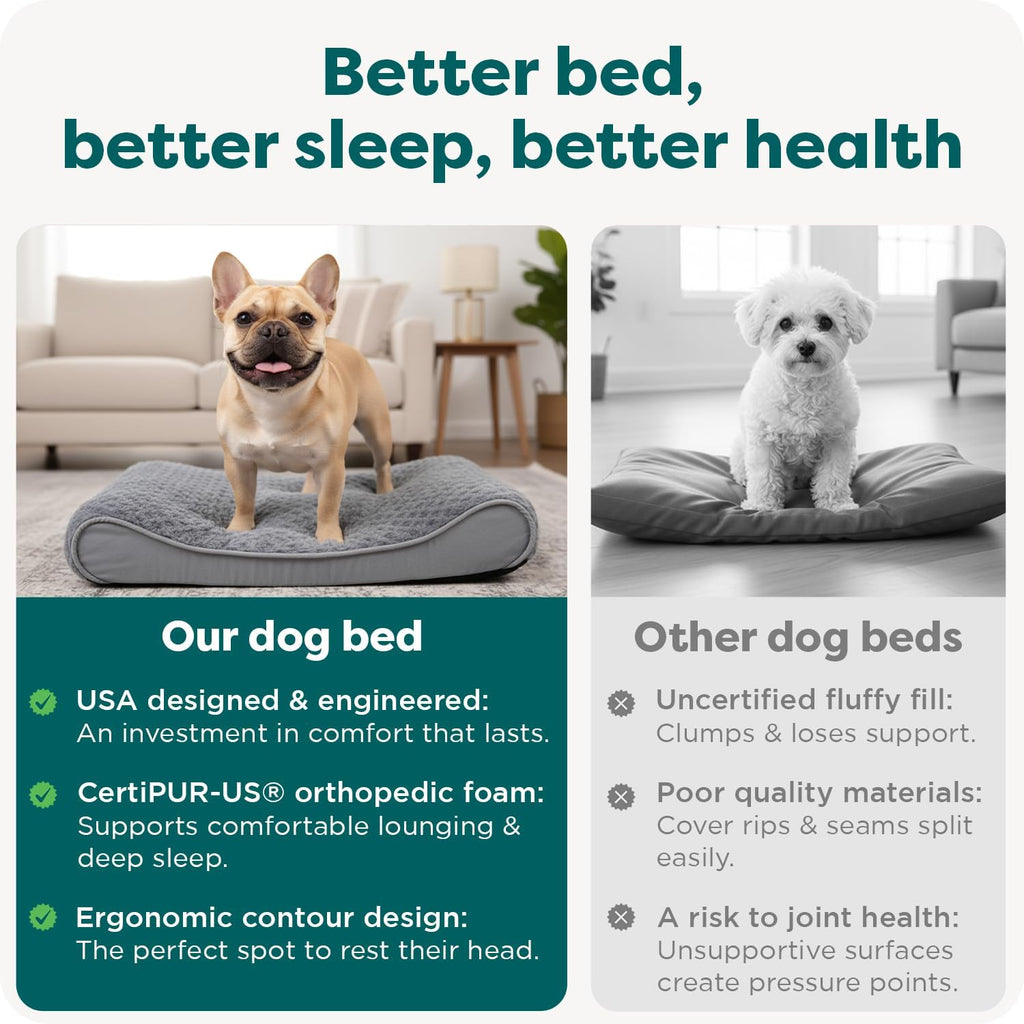 Orthopedic Dog Bed for Medium Dogs, Luxe Lounger Contour Mattress with Solid Orthopedic Foam Slab for Joint Support