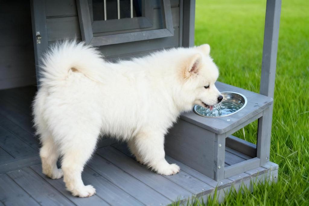 Large Outdoor Dog House, 44.2 x 44.6 x 44.6 inches, Weatherproof Wood Construction with Asphalt Roof, Covered