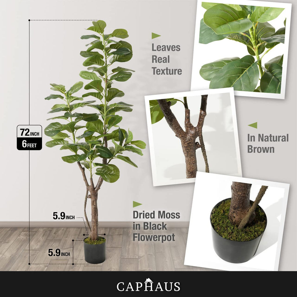 Artificial Fiddle Leaf Fig Tree, 6/7 Feet in Pot with Dried Moss, for Indoor House Home Office Store, Potted Ficus