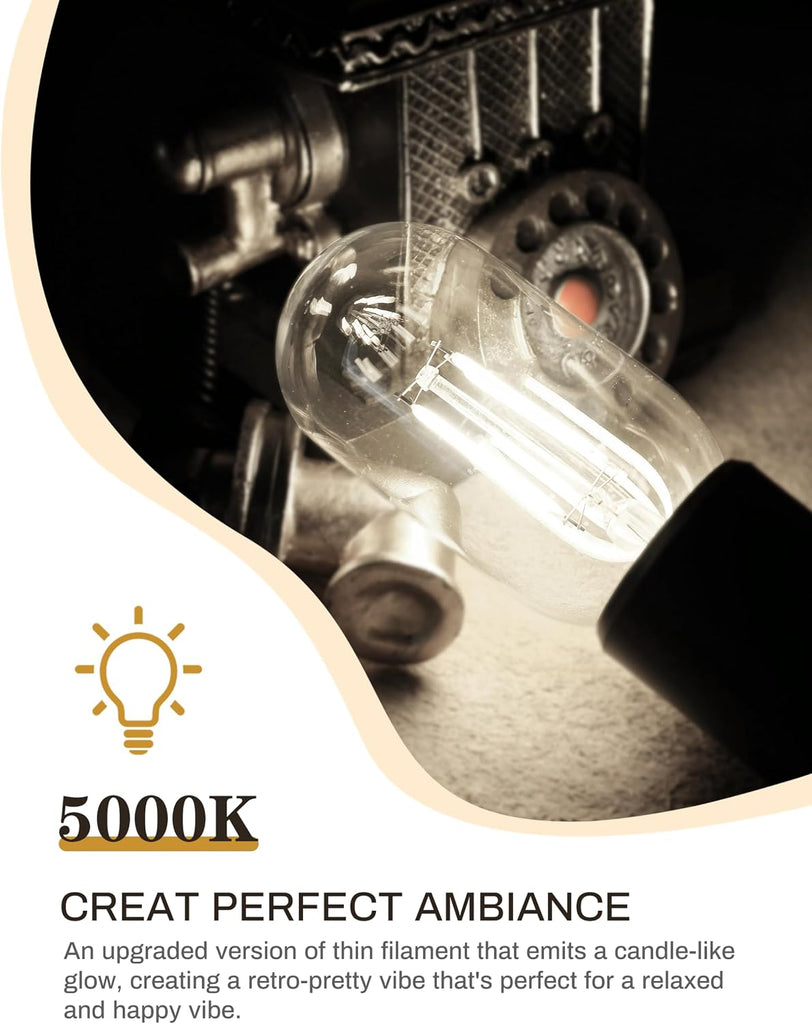 LED Edison Bulbs 4 Pack,4W Antique LED Filament Bulbs,Daylight