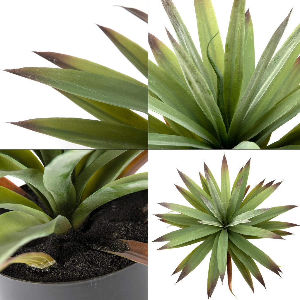 Décor Artificial Agave Plant in Pot (20-Inch)