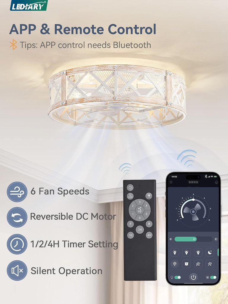20" Caged Ceiling Fan with Light, APP&Remote Control, Small Flush Mount Farmhouse Fan Lights