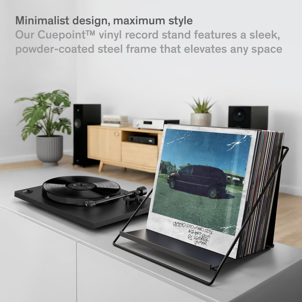 Vinyl Record Storage Rack - Record Holder for 50 LPs, Black