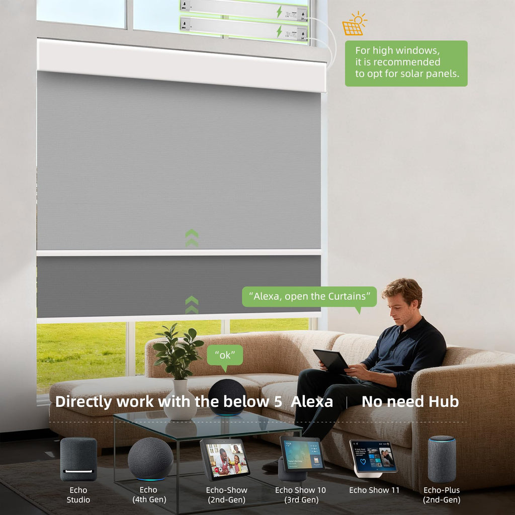 Motorized Day and Night Double Smart Blind with Valance Custom Size